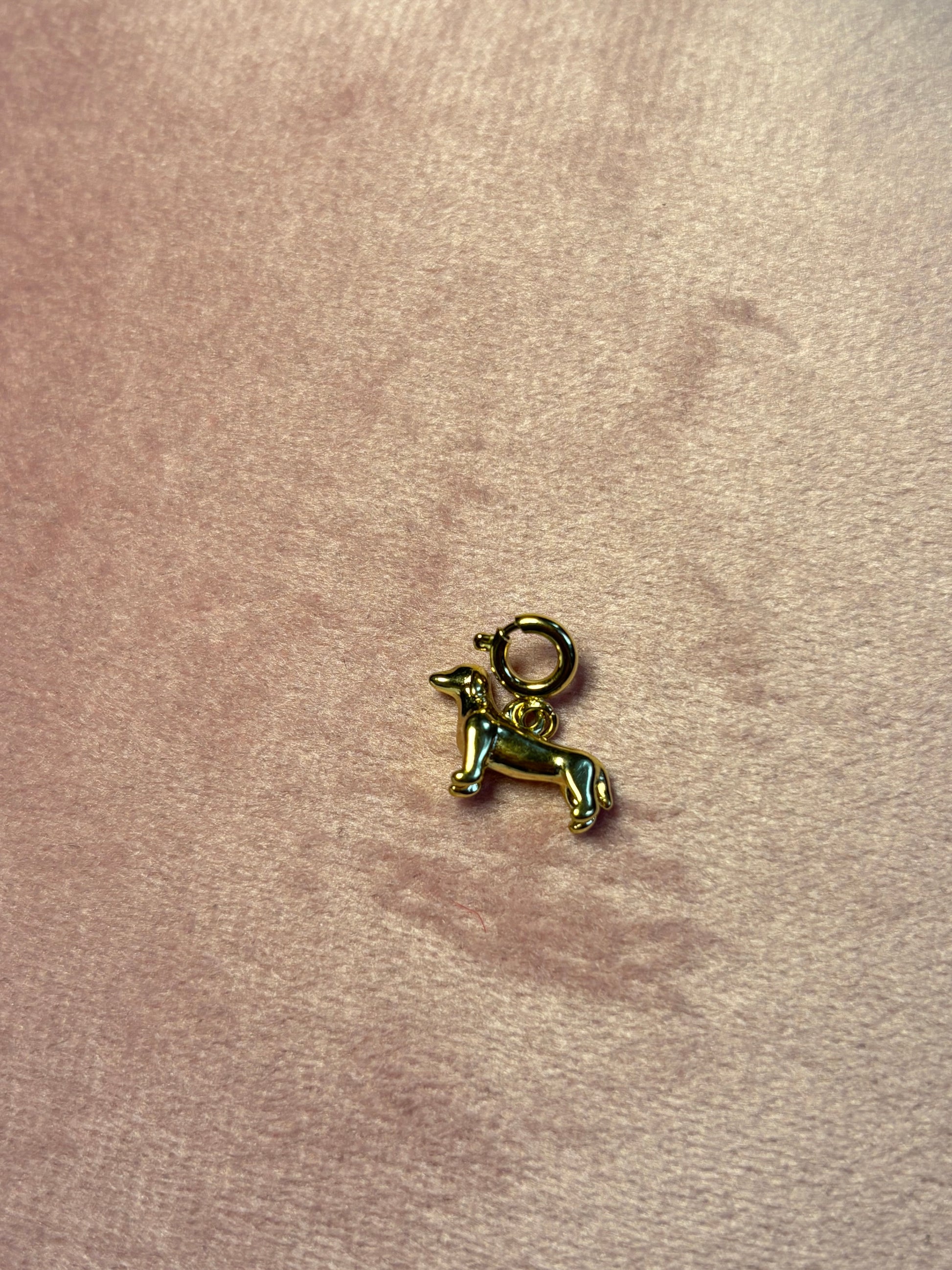 Charm (Gold)
