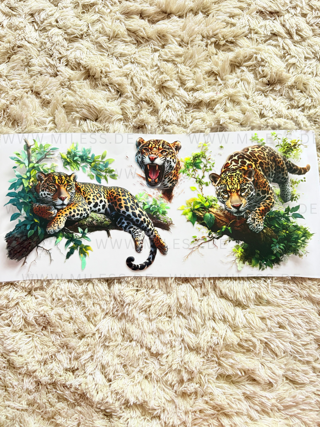 Tiere / Folien - nur in Kombination mit Gläser oder Becher kaufen