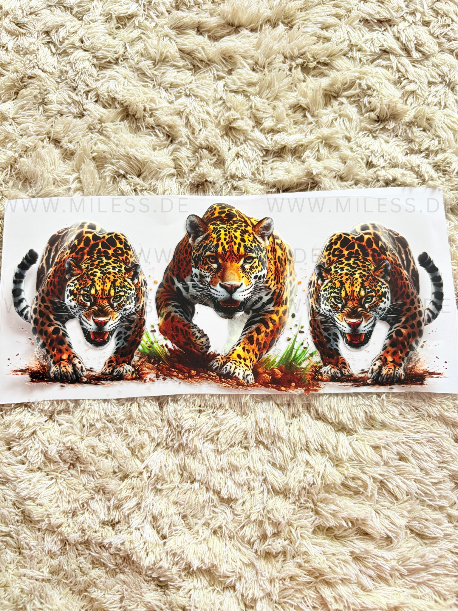 Tiere / Folien - nur in Kombination mit Gläser oder Becher kaufen