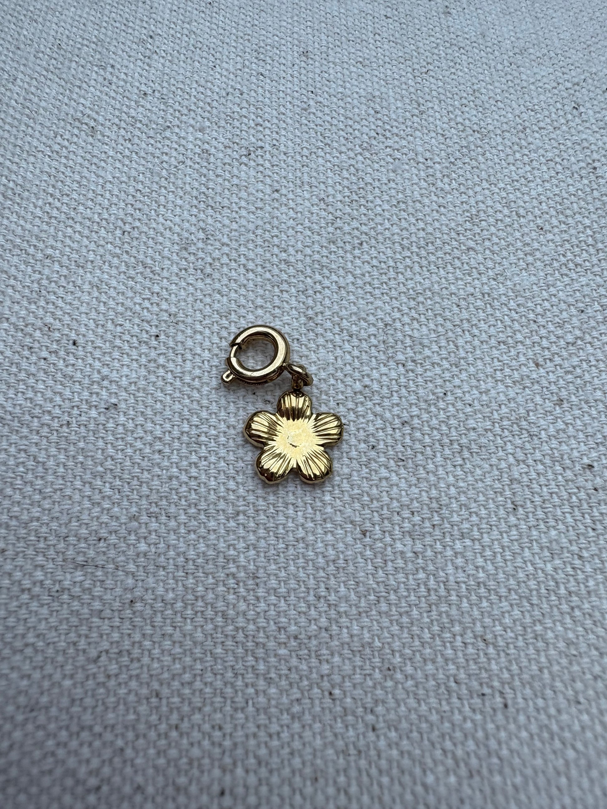Charm (Gold)