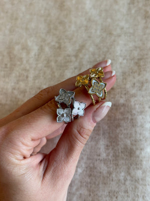 Ring - Ester